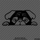 Peeking Pug Puppy Vinyl Decal - S4S Designs