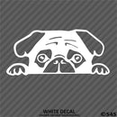 Peeking Pug Puppy Vinyl Decal - S4S Designs