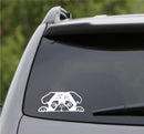 Peeking Pug Puppy Vinyl Decal - S4S Designs