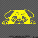 Peeking Pug Puppy Vinyl Decal - S4S Designs