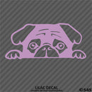 Peeking Pug Puppy Vinyl Decal - S4S Designs