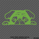 Peeking Pug Puppy Vinyl Decal - S4S Designs