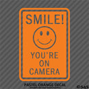 Business Decal: "Smile You're On Camera" Vinyl Decal Style 2