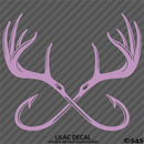 Double Fish Hook And Antlers Hunting/Fishing Vinyl Decal