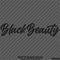 Black Beauty Automotive Vinyl Decal