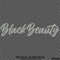 Black Beauty Automotive Vinyl Decal