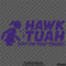 Hawk Tuah Spit On That Thang Funny Adult Viral Tik Tok Vinyl Decal