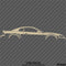 99-04 Ford Mustang Car Silhouette Vinyl Decal