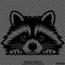 Peeking Raccoon Cute Funny Vinyl Decal