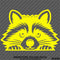 Peeking Raccoon Cute Funny Vinyl Decal