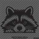 Peeking Raccoon Cute Funny Vinyl Decal