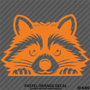 Peeking Raccoon Cute Funny Vinyl Decal