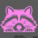 Peeking Raccoon Cute Funny Vinyl Decal