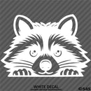 Peeking Raccoon Cute Funny Vinyl Decal