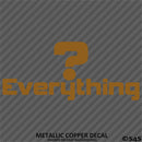 Question Everything Vinyl Decal