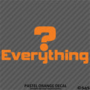 Question Everything Vinyl Decal