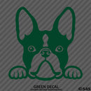 Peeking Boston Terrier Puppy Dog Vinyl Decal - S4S Designs