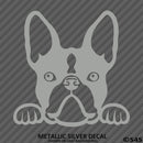 Peeking Boston Terrier Puppy Dog Vinyl Decal - S4S Designs