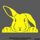 Peeking Bunny Rabbit Vinyl Decal - S4S Designs