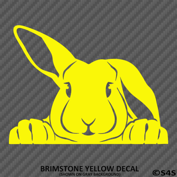 Peeking Bunny Rabbit Vinyl Decal - S4S Designs
