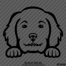 Peeking Golden Doodle Puppy Dog Vinyl Decal - S4S Designs