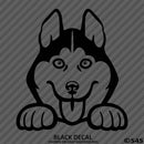 Peeking Husky Puppy Dog Vinyl Decal - S4S Designs