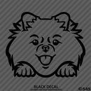 Peeking Pomeranian Puppy Dog Vinyl Decal - S4S Designs
