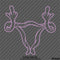 Uterus Double Middle Finger Women's Reproductive Rights Vinyl Decal Style 2